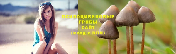 2c-b Алексин