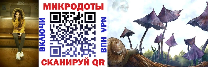 Галлюциногенные грибы мицелий  Курлово 
